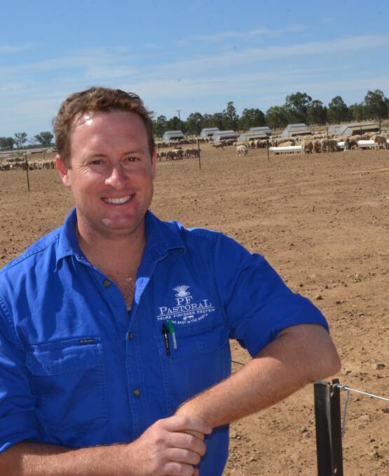 PF Pastoral marketing manager Jake Munro at the Attunga finishing farm, which can handle 4000 lambs on full feed.