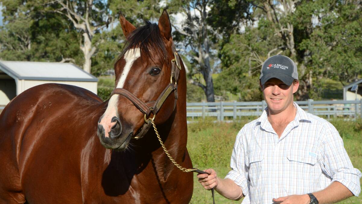 Cangon stud owner and manager Jock Mackay with Ad Valorem, sire of group 1 juvenile winner Capital Gain.
