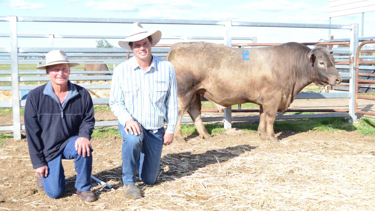 Buyer David Schouten, "Dunrobyn", Gravesend, and stud principal Lachlan James with Wallawong Zeppelin, who sold for $10,000.