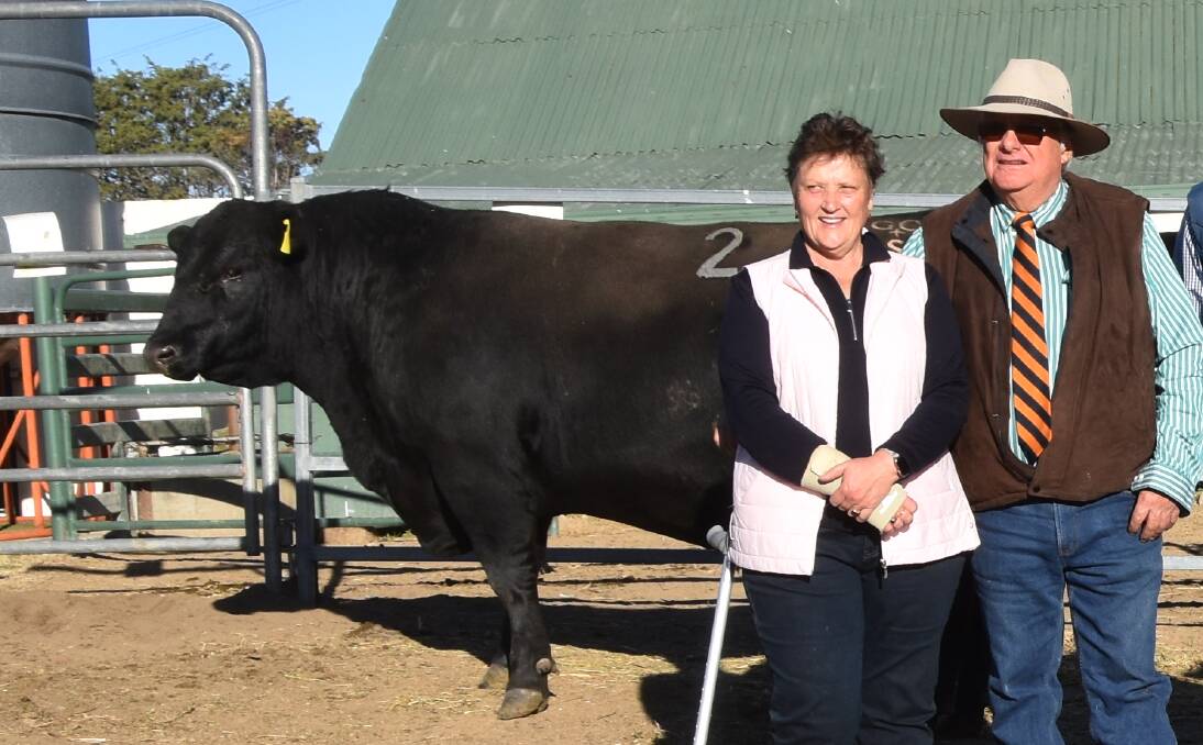Greg and Sally Chappell pictured at their 2023 bull sale with the top-priced bull, Dulverton Smart Missile S068 who sold for $55,000 to well-regarded Angus stud Knowla Livestock. Photo by Andy Saunders