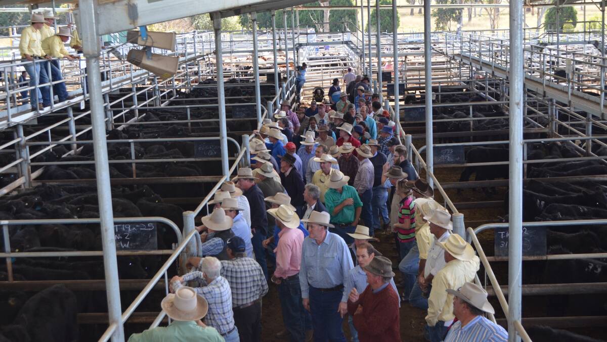Weaner producers are hoping for good buying crowds at the upcoming northern sales.