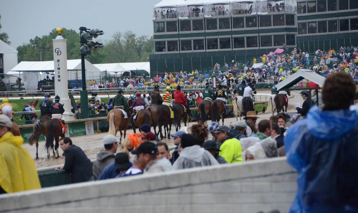 The field going to the start on a wet track for the 2013 Kentucky Derby at Churchill Downs, Louisville, Kentucky. Photo by Virginia Harvey