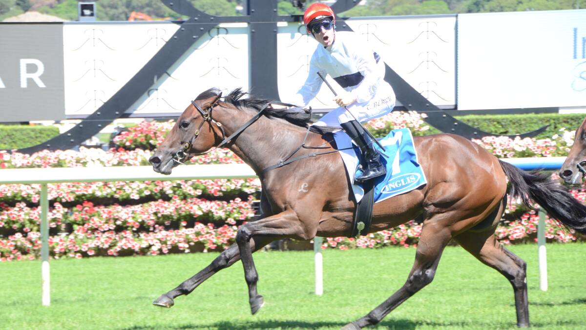 An excited Tommy Berry aboard Frolic winning the Inglis Classic at Randwick. Photos by Virginia Harvey