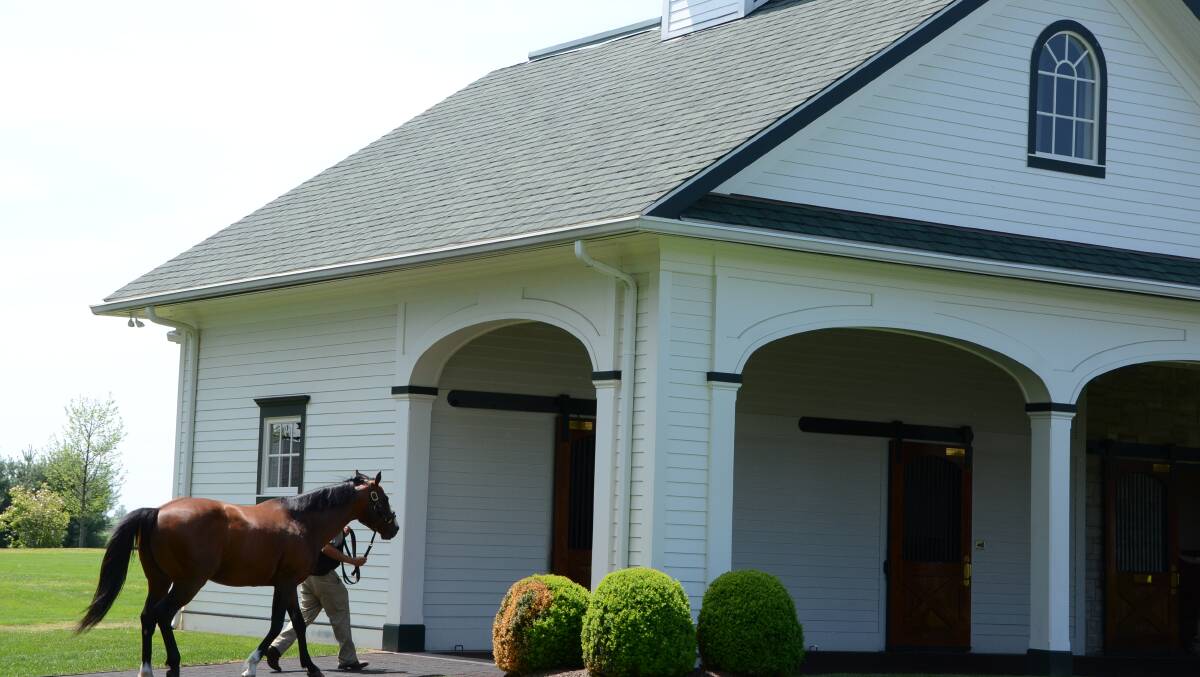 A stallion entering into one of the plush stallion barns at Spendthrift Farm, Kentucky.  Photo by Virginia Harvey