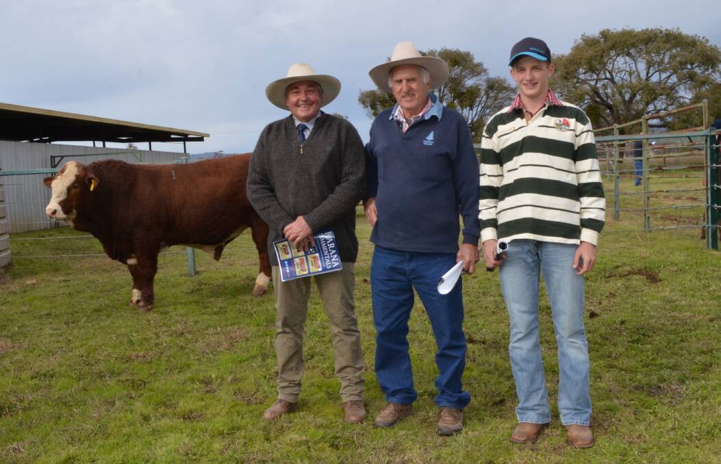 Barana stud principal Peter Cook and buyers David Wirth and Nick Cave, “Glengarry”, Glen Elgin, with the top-priced bull, Barana Latimer, who sold for $13,000 in the stud's 16th annual on-property sale.