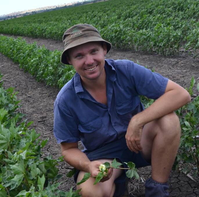 Cropping manager Josh Edwards in the cotton crop at "Kurrajong Park", which has started flowering.