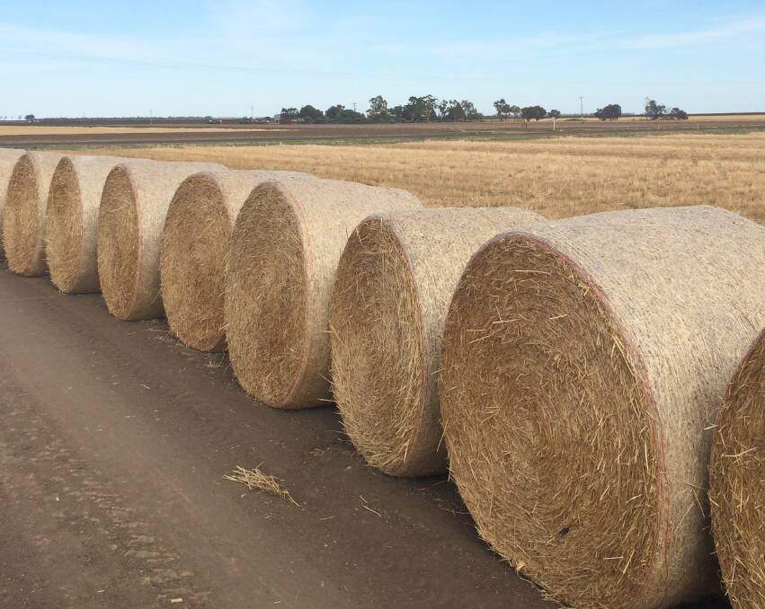 Some of the barley stubble bales, donated by Lee Parish, "Carrera", Wee Waa, stand ready to be put to good use in parched North West NSW. Photo by Lee Parish