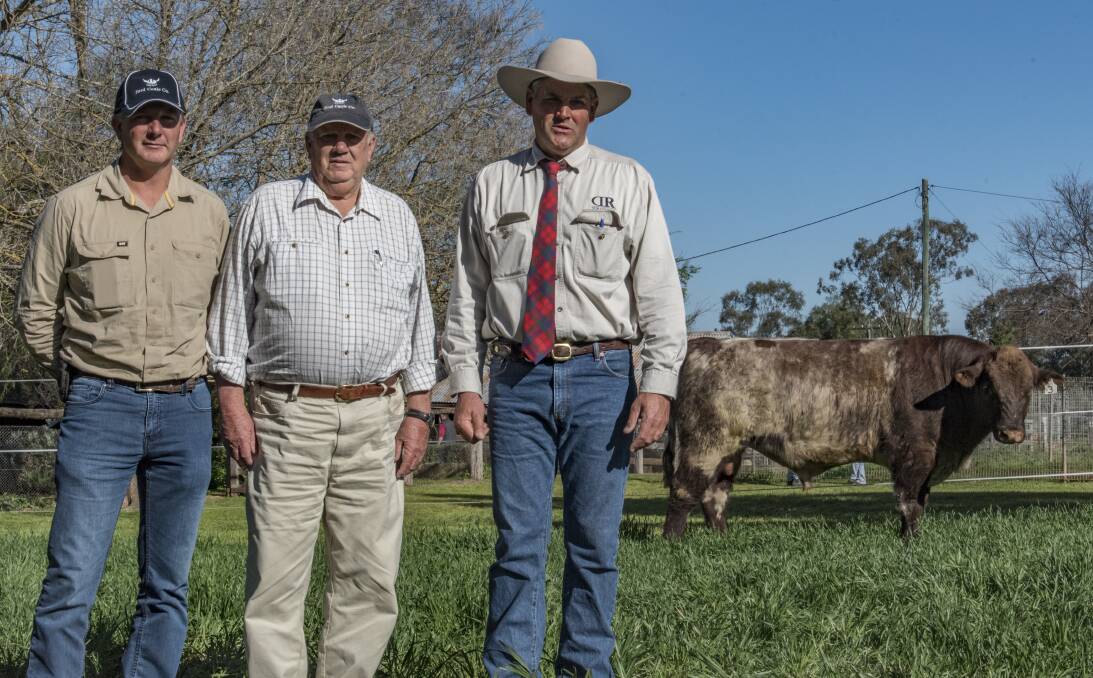 Buyers Grant and Daryl Ford, Ford Cattle Company, Stroud and Turanville stud principal Doug Robertson with Turanville Zulu K92 who sold for $10,000.