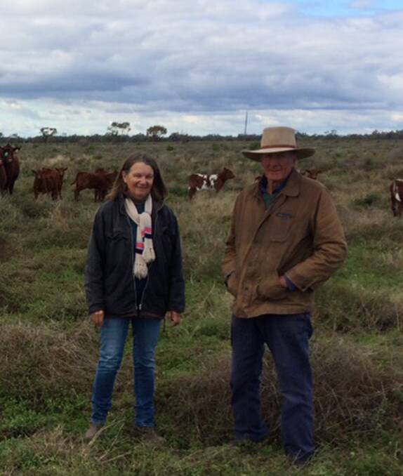 SHORTHORN BREEDERS: Philip and Coral Marshall run a small commercial herd at Tareela, Burren Junction. 