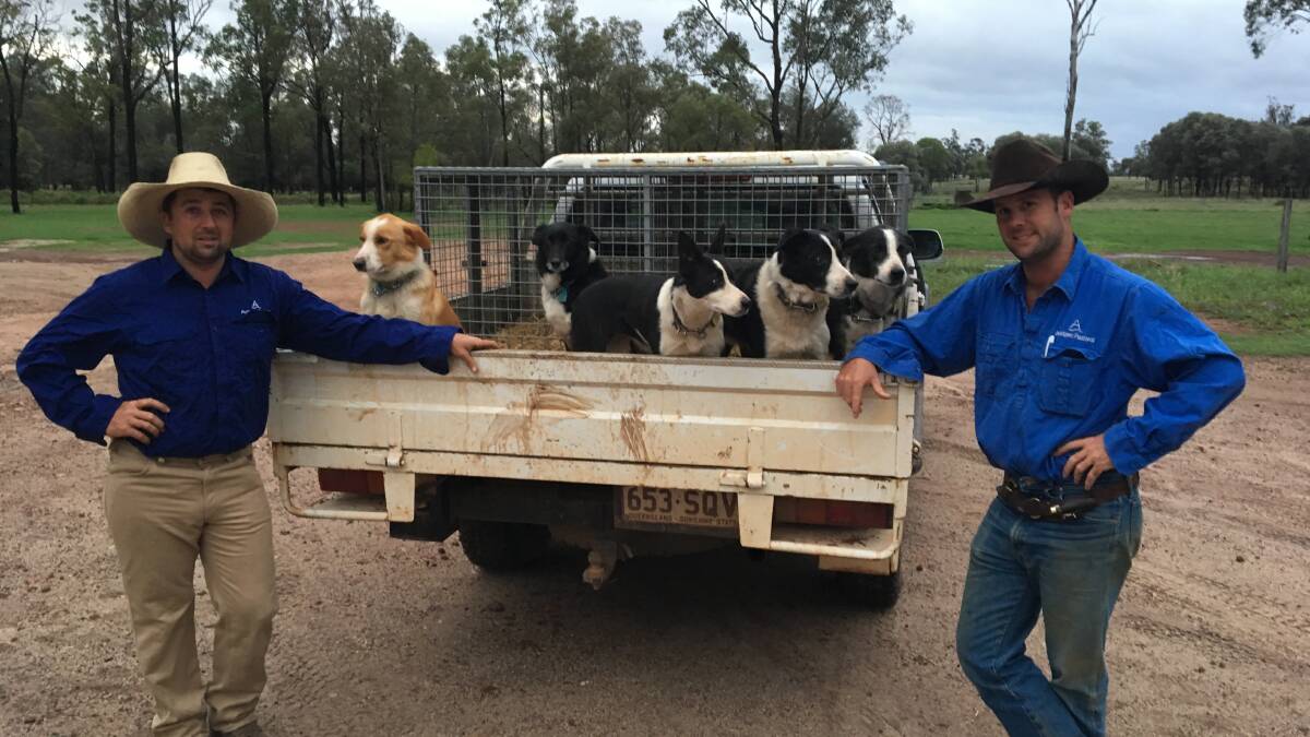 Isaac Hotz and Jamie Sturrock with their dogs Spike, Sister, Twist, Tex and Spud.