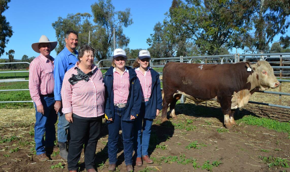 Truro Herefords stud principals Scott, Pip, Tilly and Sophie Hann and buyer Grant Sargeant, Booyong Herefords, Inverell, who bought Truro King Brown K053 for $10,000.
