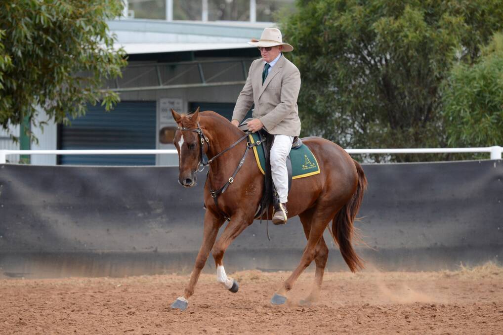 Robert Prichard riding Tocal Notes and Lyrics at the 2017 West Wyalong ASH Branch Show, where Notes and Lyrics won the three-year-old futurity.