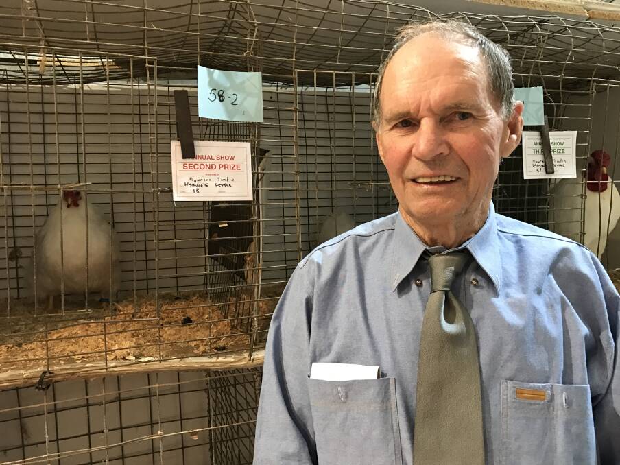 Malcolm Alexander's bantam hen was second place in the Wyandotte competition.
