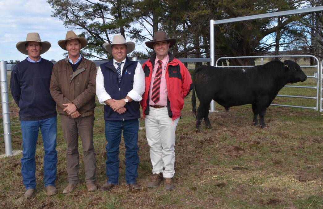 Stud principal Andrew White, buyer Rowan Rodgers, Old Oakleigh Angus, Merriwa, agent Brian Kennedy, and auctioneer Michael Glasser with Eastern Plains Equator K63.