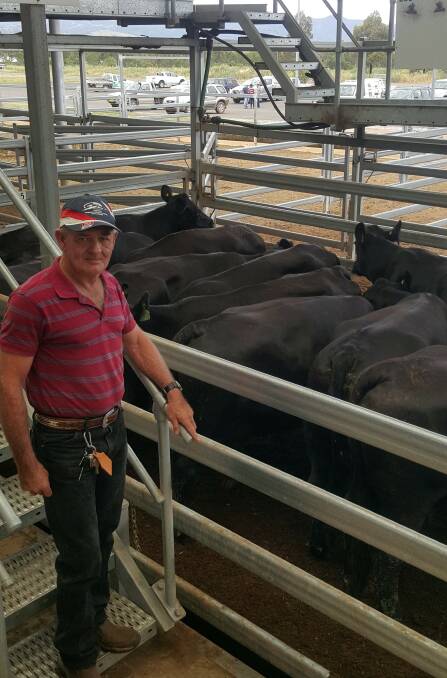 Bill Duffy, "Cedarvale", Willow Tree, sold the top pen of cows and calves for $2300 a unit. Photo by Michelle Mawhinney