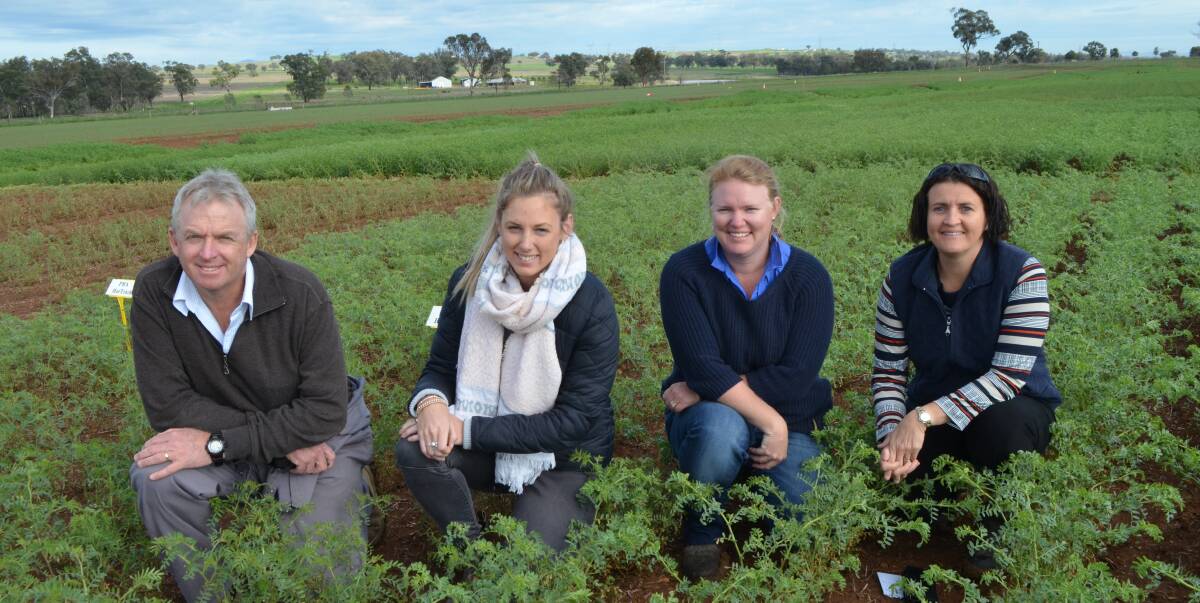 Technical officers William Martin, Taylor Mentha and Penny Borger, and senior plant breeder Merrill Ryan, from the Queensland Department of Agriculture and Fisheries pulse breeding team, visiting Tamworth Agricultural Institute.