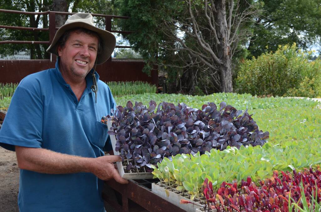 East Maitland farmer Matt Dennis is increasing the varieties of vegetables he grows.