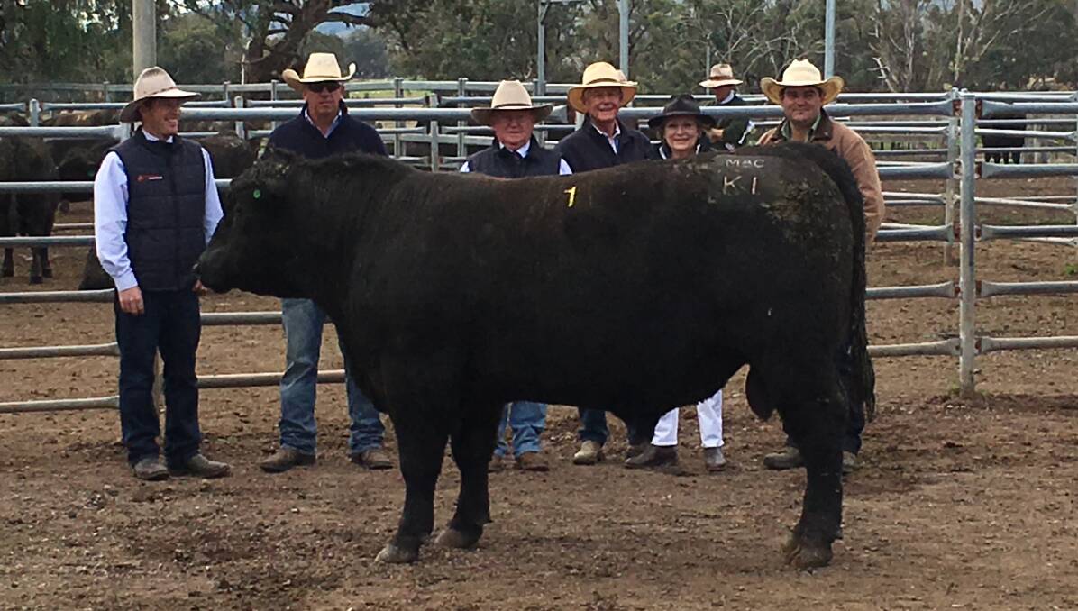 Agent Warick Clydsdale, stud manager Jamie Edmonds, agent Jim Callinan, Coolie owners Mac Whitehouse and Thea Watts and buying agent Chris Dobie with the top bull.
