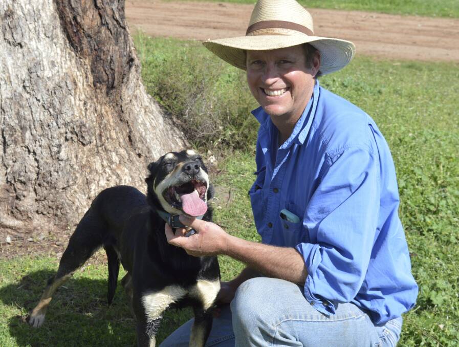 Delungra producer Matt Ehsman with his seven-year-old Kelpie Minute, one of eight working dog competitors in the Cobber Challenge.