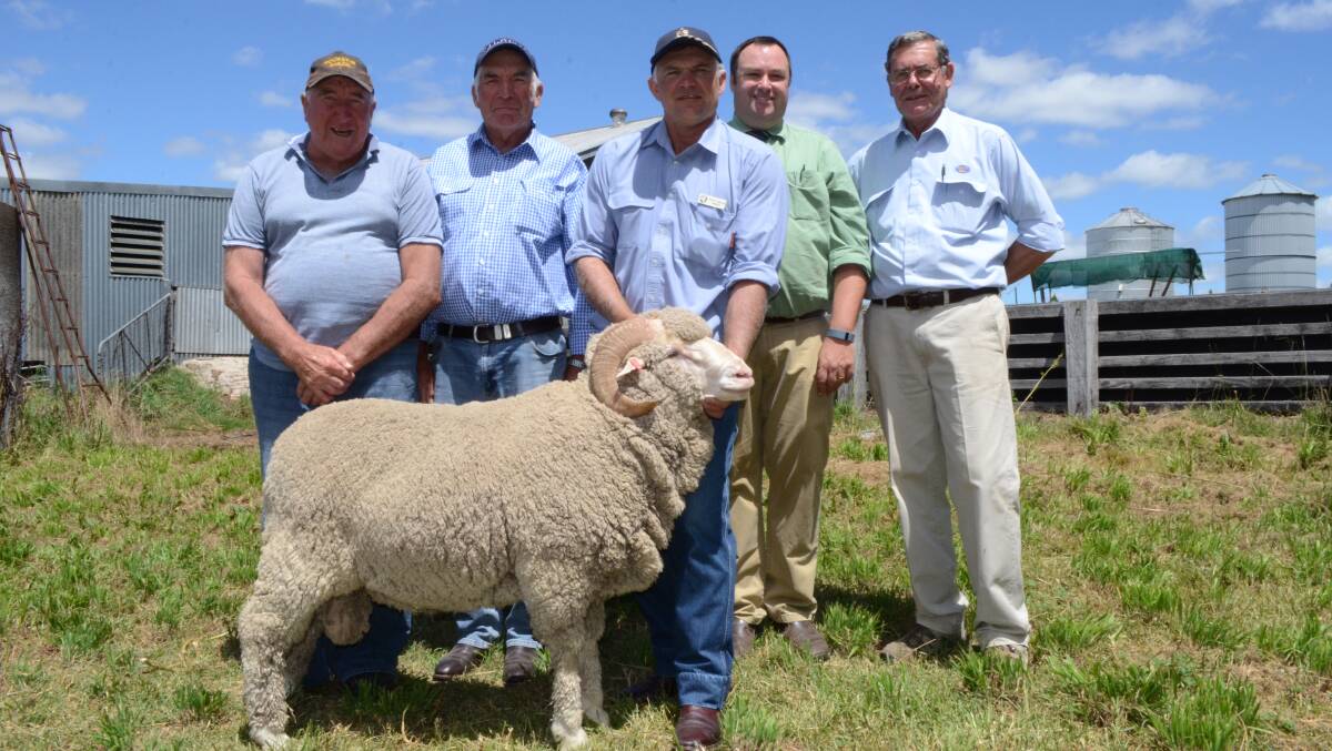 Buyers Allan and Dan Healey, Queenlee stud principal Philip Carlon, Brad Wilson, Landmark stud stock, and Tony Evans, Schute Bell Badgery Lumby, Newcastle, with the $2600 sale topper.