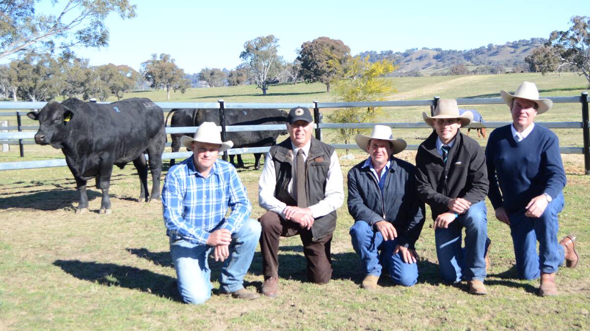 Andrew Chapman and Peter Howarth, Wombramurra, buyer Ben Wirth, and agents Joel Fleming and Paul Dooley with the $29,000 bull.