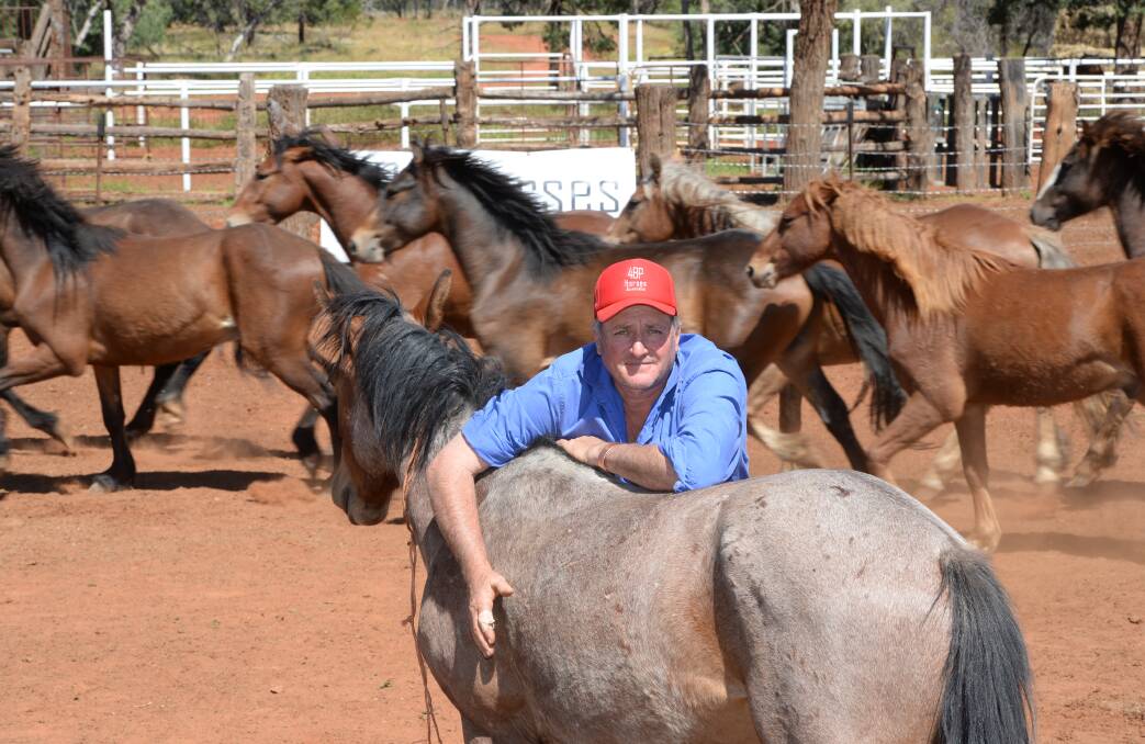Joe Hughes, 4BP Horses, wants to train more people to work with brumbies using his methods. Photos by Rachael Webb