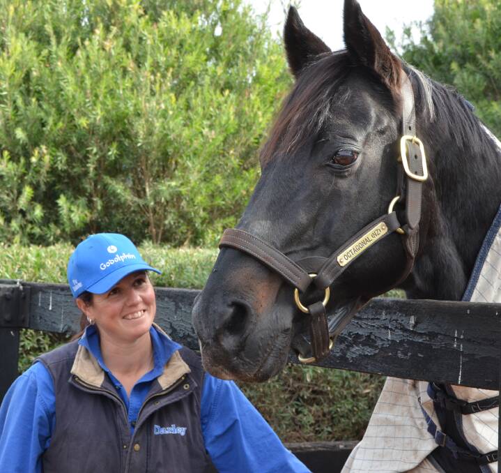 Godolphin employee Toni Collins with Octagonal at Woodlands Stud earlier this year. Photos by Virginia Harvey