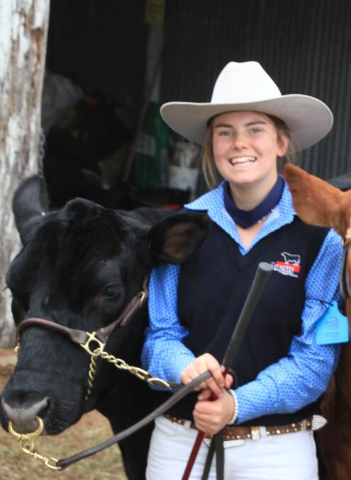 Angus Youth member and stud breeder Emma Costello, Nairn Park Angus, Walcha, leading an Angus steer at last year's Manning Valley Beef Week.
