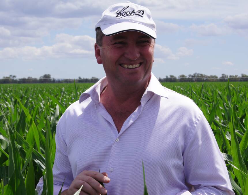 Federal Agriculture and Water Resources Minister Barnaby Joyce, out standing in a field. 