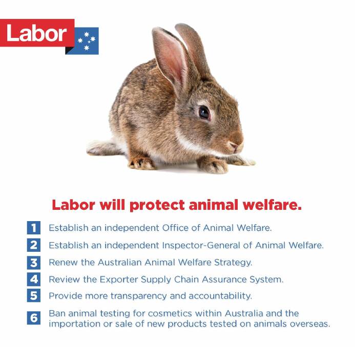 ALP animal welfare policy slammed