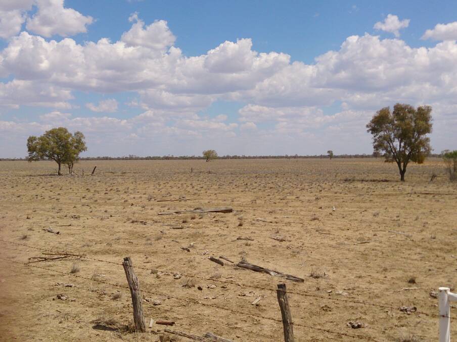 Tense countdown on drought support payments for 1634 farmers