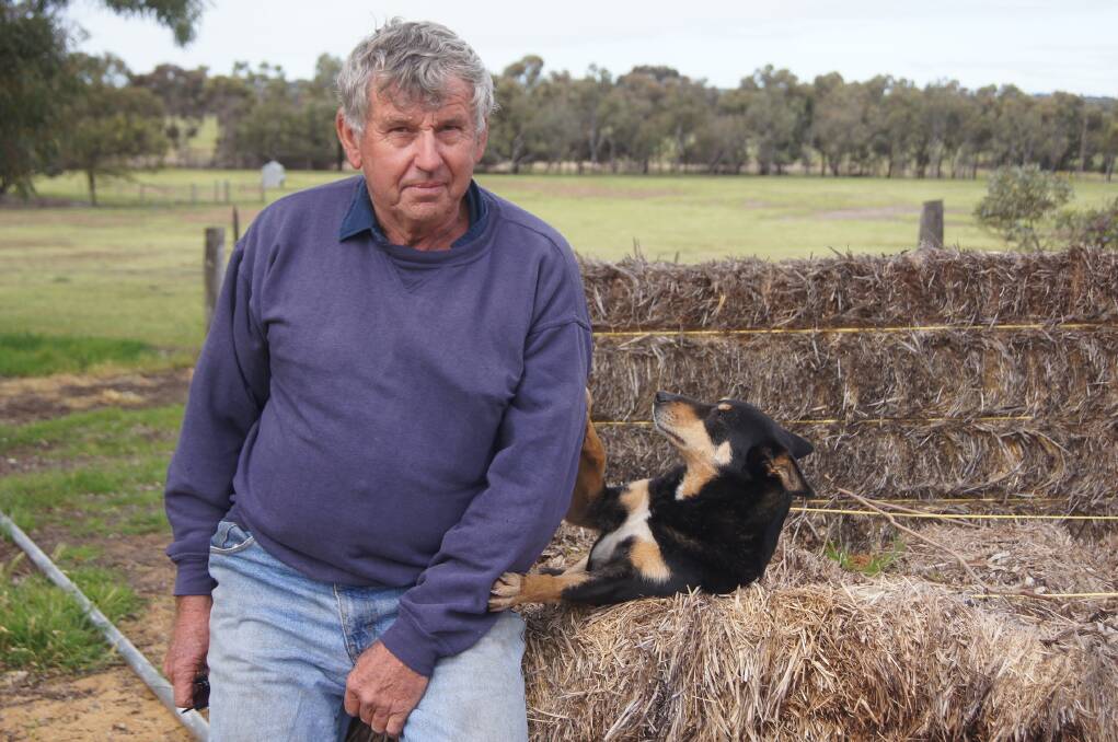 Cuballing farmer Bruce Dixon at home on his property in WA's south-east Wheatbelt and resting up momentarily, on those now infamous straw bales.