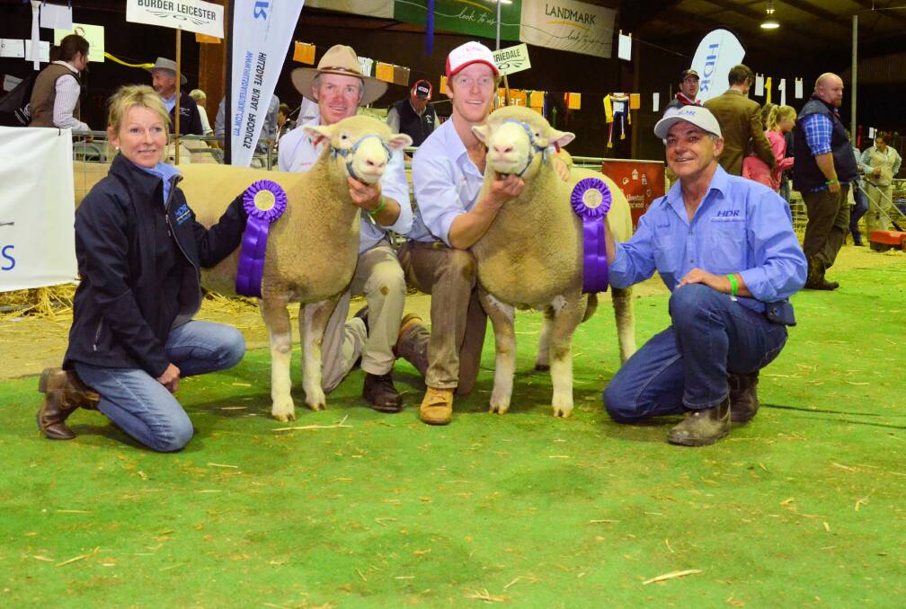 Tattykeel stud, Oberon, took out supreme ewe, and its fifth consecutive interbreed with its ram. Martin Gilmore, Tattykeel, holds the ram, James Gilmore, Tattykeel, the ewe, with sponsors Toni and Michael Conole, Hillsdale Rural.