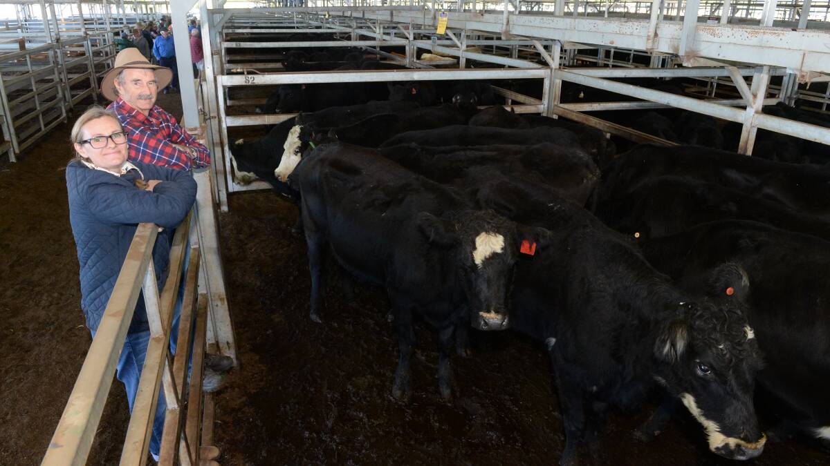 Harry Chadwick and his daughter, Pene, 'Yarren', Running Stream, pictured beside their pen of 11 aged Angus and Angus cross cows and calves, not rejoined, that made $1280.
