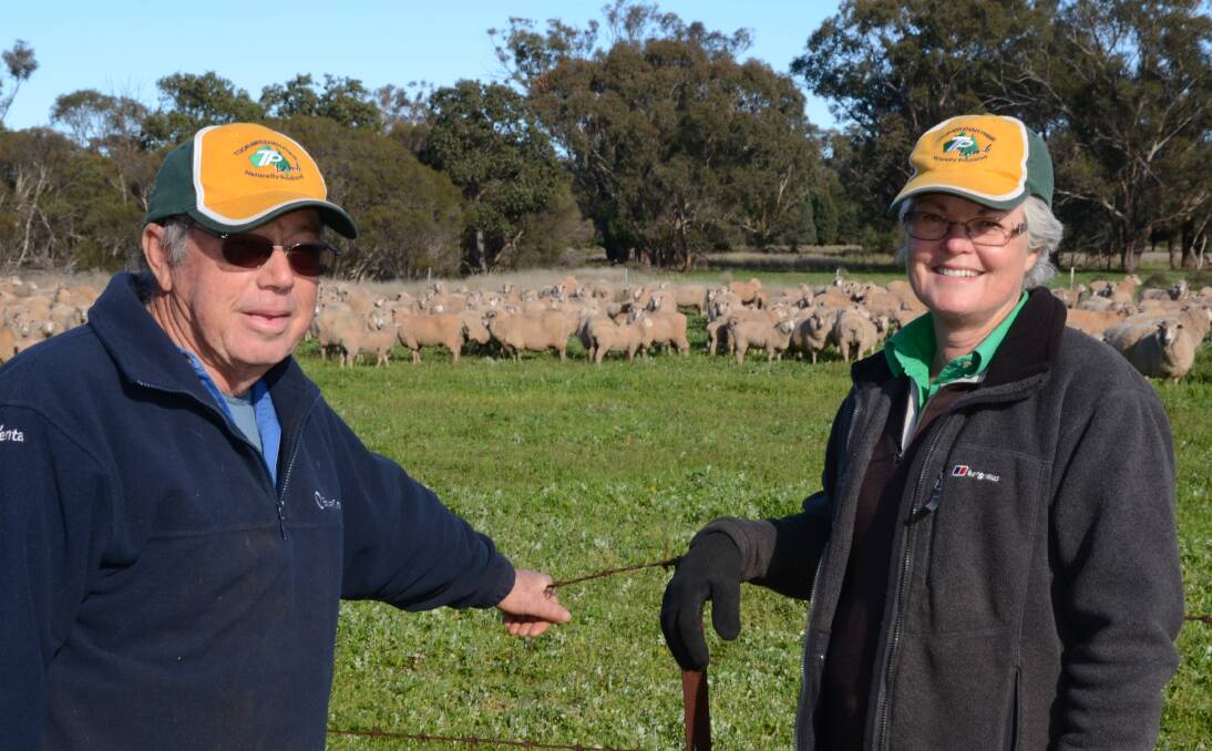 Doug and Robin Godwin look over some of their first-cross ewes with 12- to 17-week-old Coolalee and Poll Dorset lambs grazing at “Alton Park”, Mogriguy, near Dubbo.