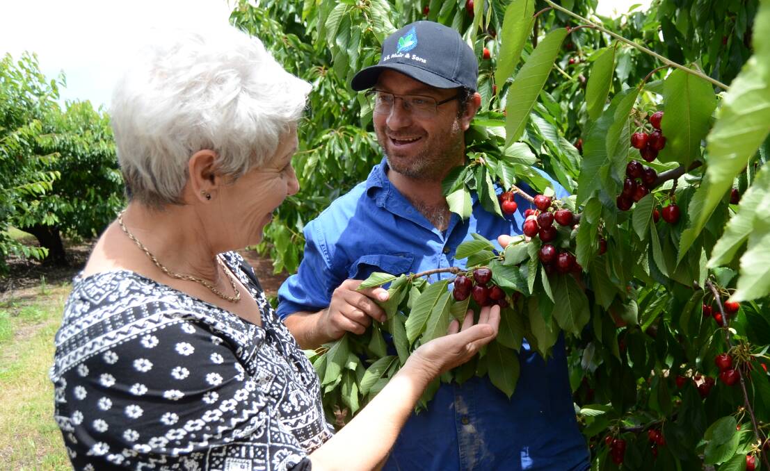 TALKING HARVEST: Joanne Johnson of Help Temp Employment Agency with orchardist client Valley Fresh Cherries owner, Barisha Batinich. Photo: Elouise Hawkey