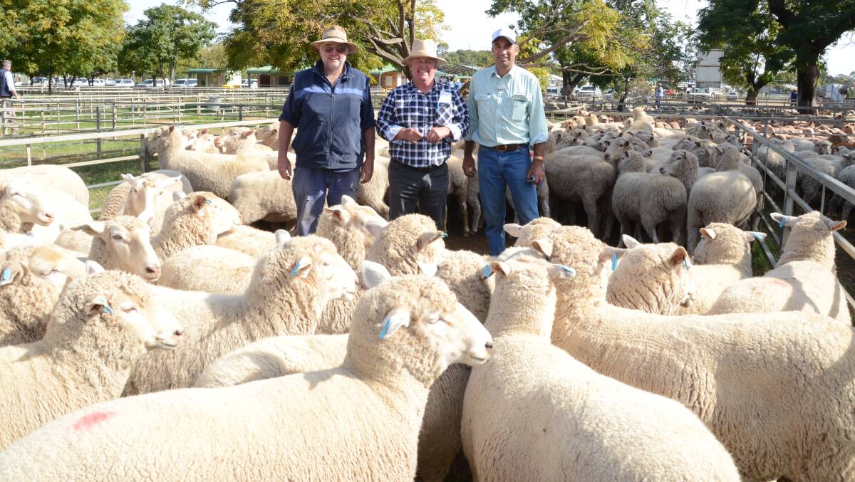 Breeder of the $258 top-priced pen of first cross ewes, Tony Smith, Eumalga Partnership, “Broadwater”, Warren, with buyer, Bill Dunn, Forbes Livestock, for the Umbers family, Bogan Gate; and Ashley McGilchrist, Landmark Wilson Russ, Narromine.