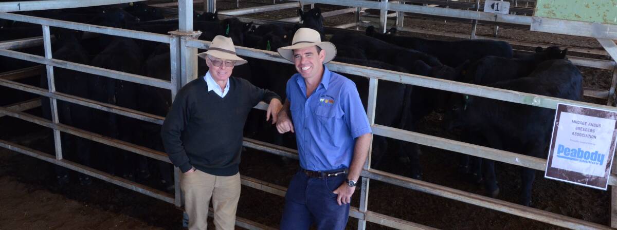 Peel Pastoral, North Richmond topped the steers sale with five Charolais/Angus/Angus cross steers weighing 367kg and making $1345. Pictured is Peter Grieve, Talooby stud, Bylong, who bred the bulls and Peel's farm manager, Chris Shephard with the first Peel pen of purebred Talooby blood steers which sold at $1330.