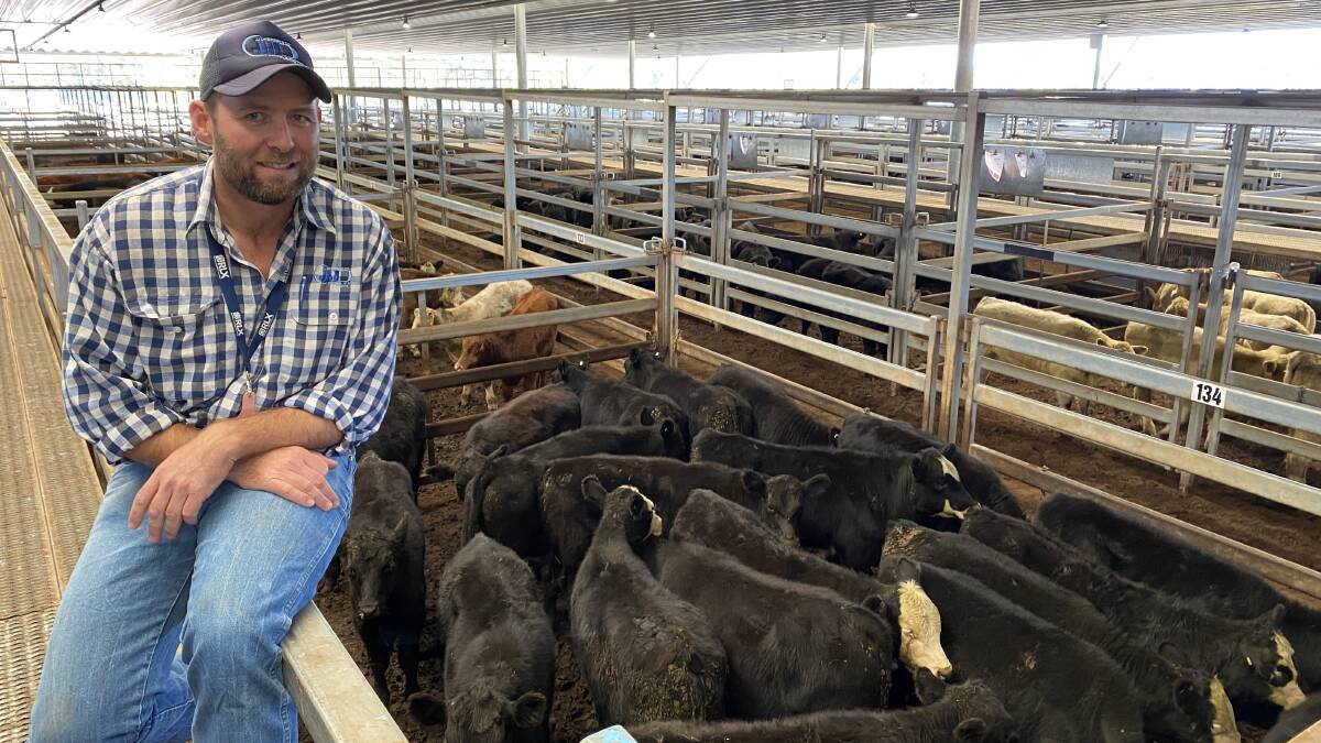Michael Anderson of JJ Dresser and Company with 21 black baldy steers weighing 190kg making $1080 or 586c/kg.