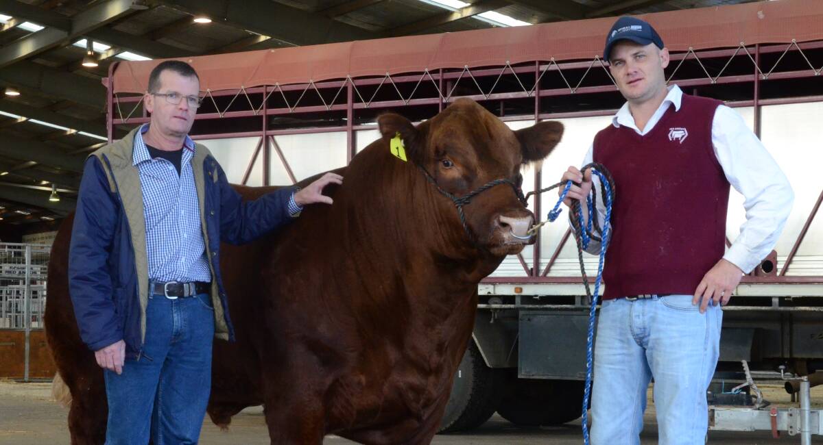 Last year 16 bulls averaged $5500 and eight females $3686 with Anthony Ferris, Barraba, paying $14,000 top price for Wollumbi Fat Tony held by David Croker.