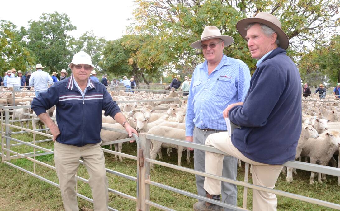 First cross ewe breeder Bruce Olsen, "Inverness", Wellington, gained a top of $140 for his 390 April/May 2015 drop, April shorn draft and is pictured with Graham Anderson, Peter Milling Company, Dubbo and auctioneer Paul Alchin, Christie and Hood, Gilgandra.