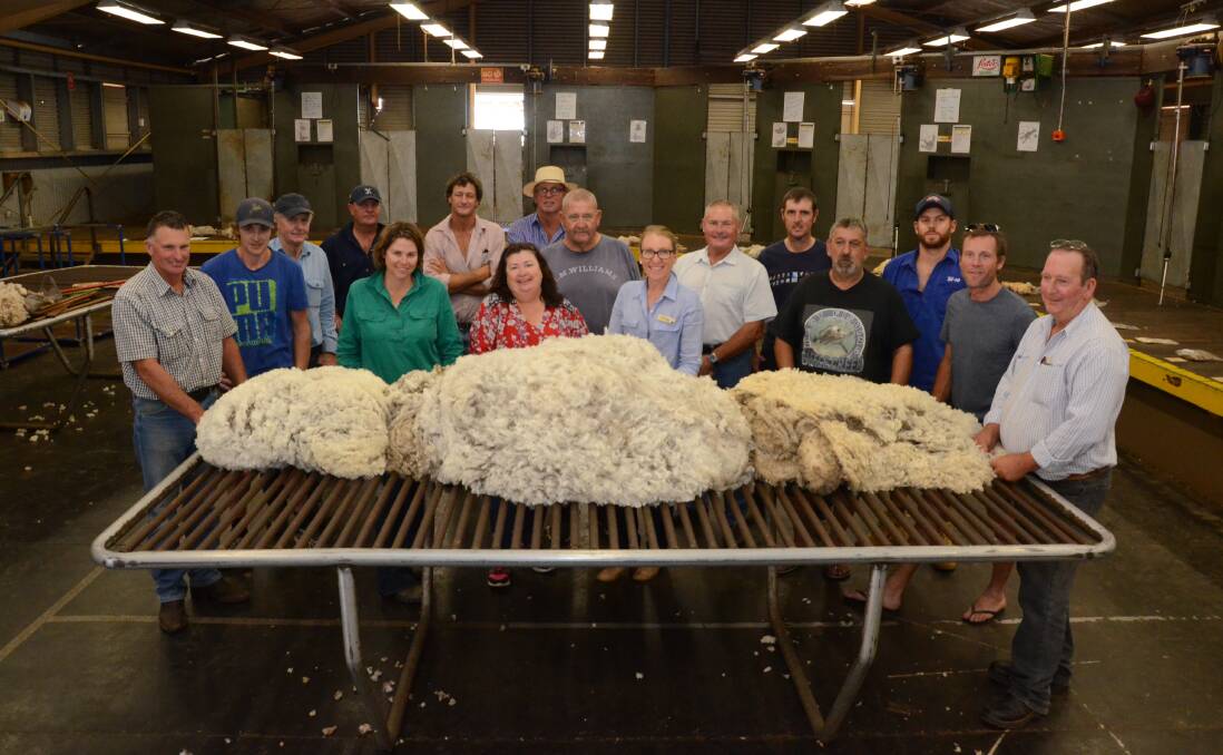 Fifteen former wool classers from close to the Victorian border through to the Queensland border attended at a three-day refresher course with AWEX and TAFE Western at Dubbo last week to renew their wool classer stencil.