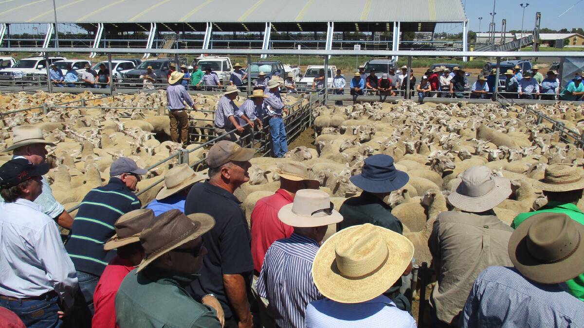 One of the largest crowds of buyers and spectators seen at this fixture for many years were mainly local and from Central Tablelands and south to Leongatha, Victoria.