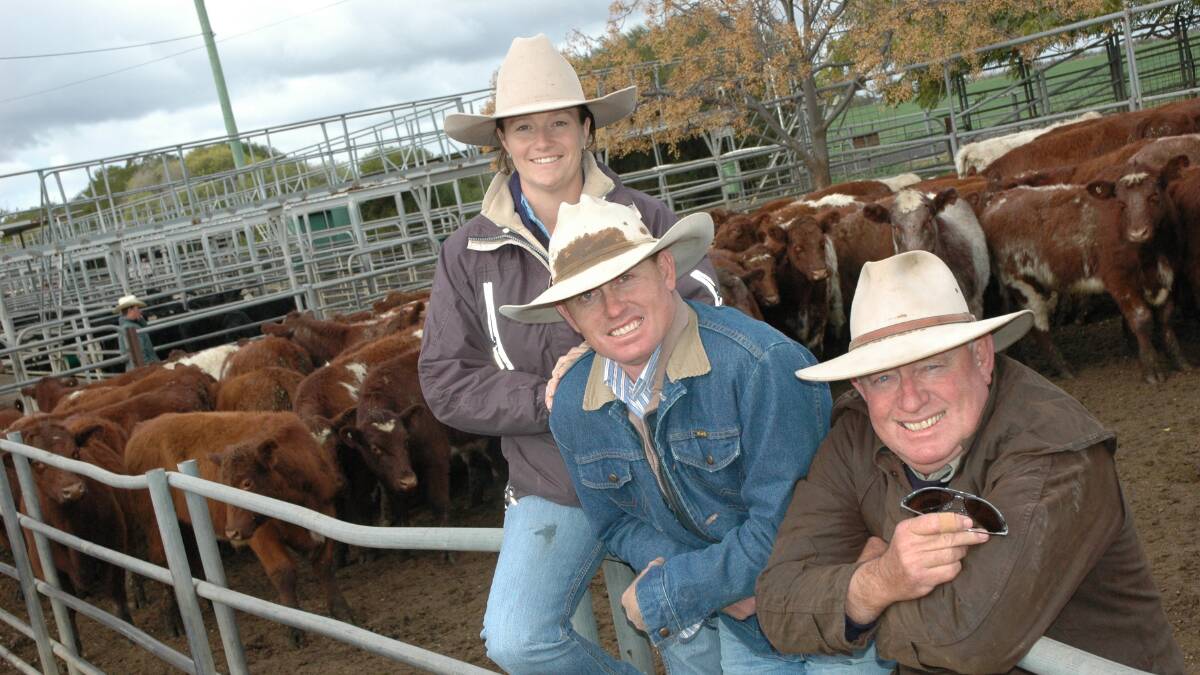 Amanda, Simon and Rob McCutcheon with some of their Mullah Station bred Shorthorns when selling at a store cattle sale at Dubbo saleyards several years ago.