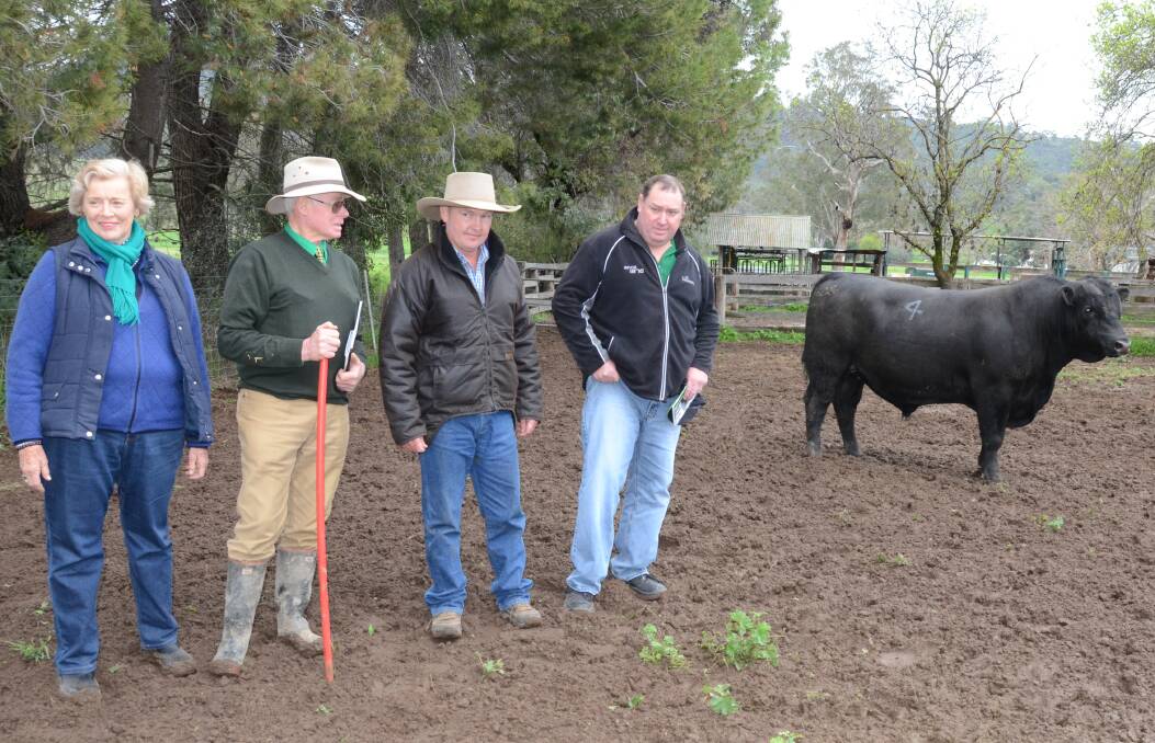 Jill and Peter Grieve of Talooby stud, Bylong, and buyers of both equal top-priced $16,000 bulls Dean Wood and Garrett Berry, "Buri West", Walcha. Talooby bulls breed replacement females within the Berry family herd.