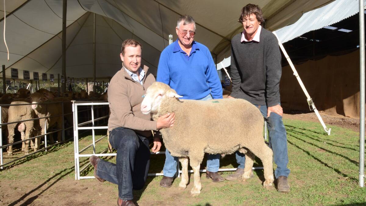 Joe and Peter Hyland, Hyland Dohne stud, Geurie, with their $4250 second top-priced ram by KP13-2345 and Macquarie stud co-principal, John Nadin, Warren.