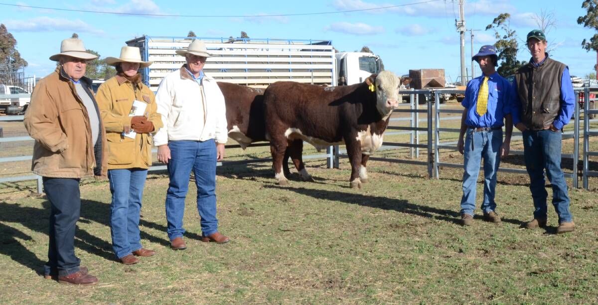 Dalkeith's Ant Martin, buyers Suz and Guy Lord, Branga Plains, Walcha, with their $32,000 sale topper and Charlie Martin and Bryson Porter of Dalkeith stud.
