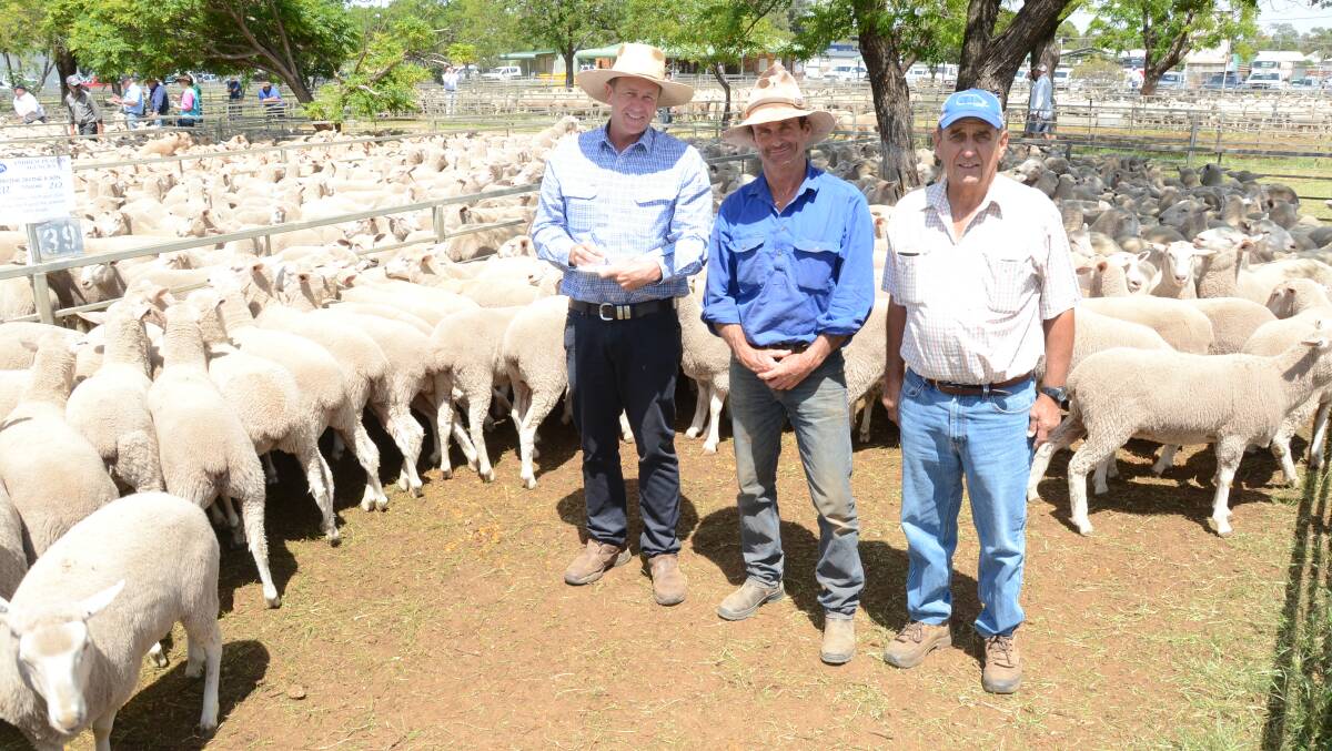 Angus Barlow of Barlow Peadon Agency with vendor Gordon Irving, "Toucan", Warren, in his pen of 212 July/August 2016 drop, August shorn first-cross ewes with buyer, Graeme Clements of JJ Dresser and Company, Woodstock, who paid top money of the sale, $228 for the draft on behalf of Glenalbyn Pastoral Company, Koorawatha.