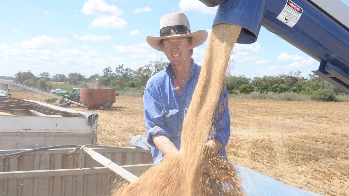 It's been a big harvest for Warren district grain grower Will Cant, (also pictured on the front cover) who checks Sunmax wheat at Mumblebone as it's augered into a Frasers Transport truck for silo delivery. Gradings have come back at APH 1 and 2.