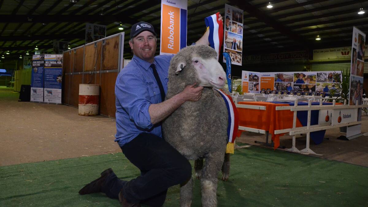 Poll Boonoke, Deniliquin manager, Angus Munro, proudly holds PB160540 the NSW junior Merino ram at the 2017 Rabobank Dubbo Merino National March shorn judging on Tuesday, the third consecutive win for the Riverina stud.